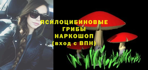 твердый Армянск