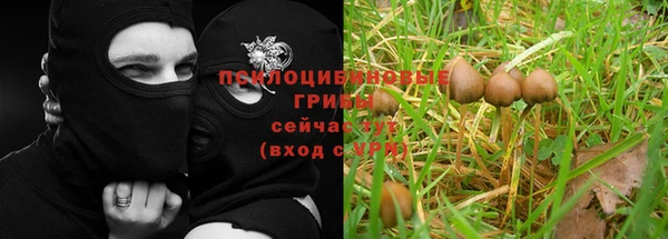 а пвп мука Арсеньев